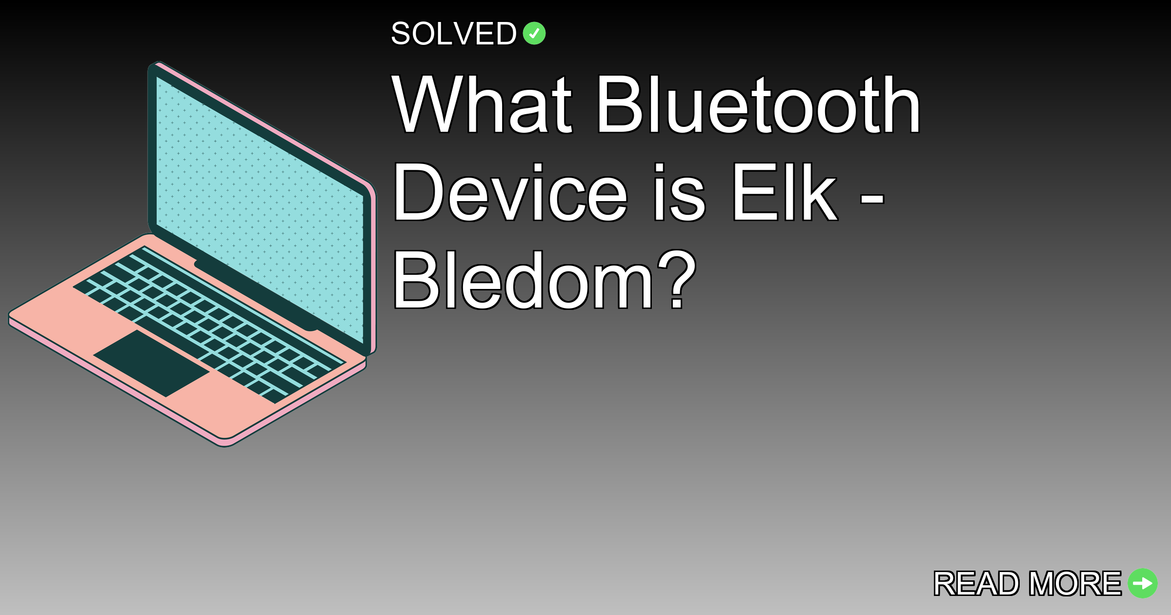 What Bluetooth Device is Elk - Bledom? - Technology