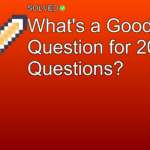 What's a Good Question for 20 Questions? - Gaming